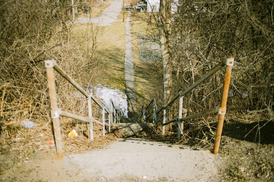 Откуда произошла фамилия Копылов?